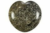 Fossil Crinoid Stems In Marble Heart #311958-1